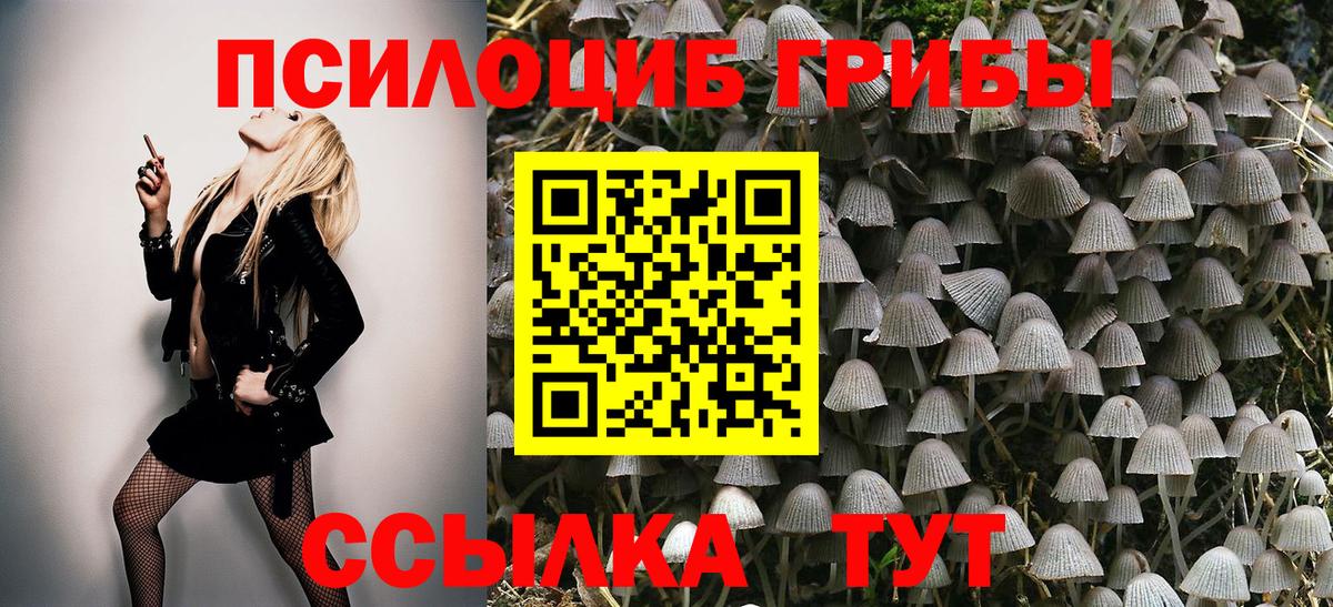 Нефтекумск  Псилоцибиновые грибы Psilocybine cubensis  Вход с VPN  Галлюциногенные грибы Magic Shrooms 